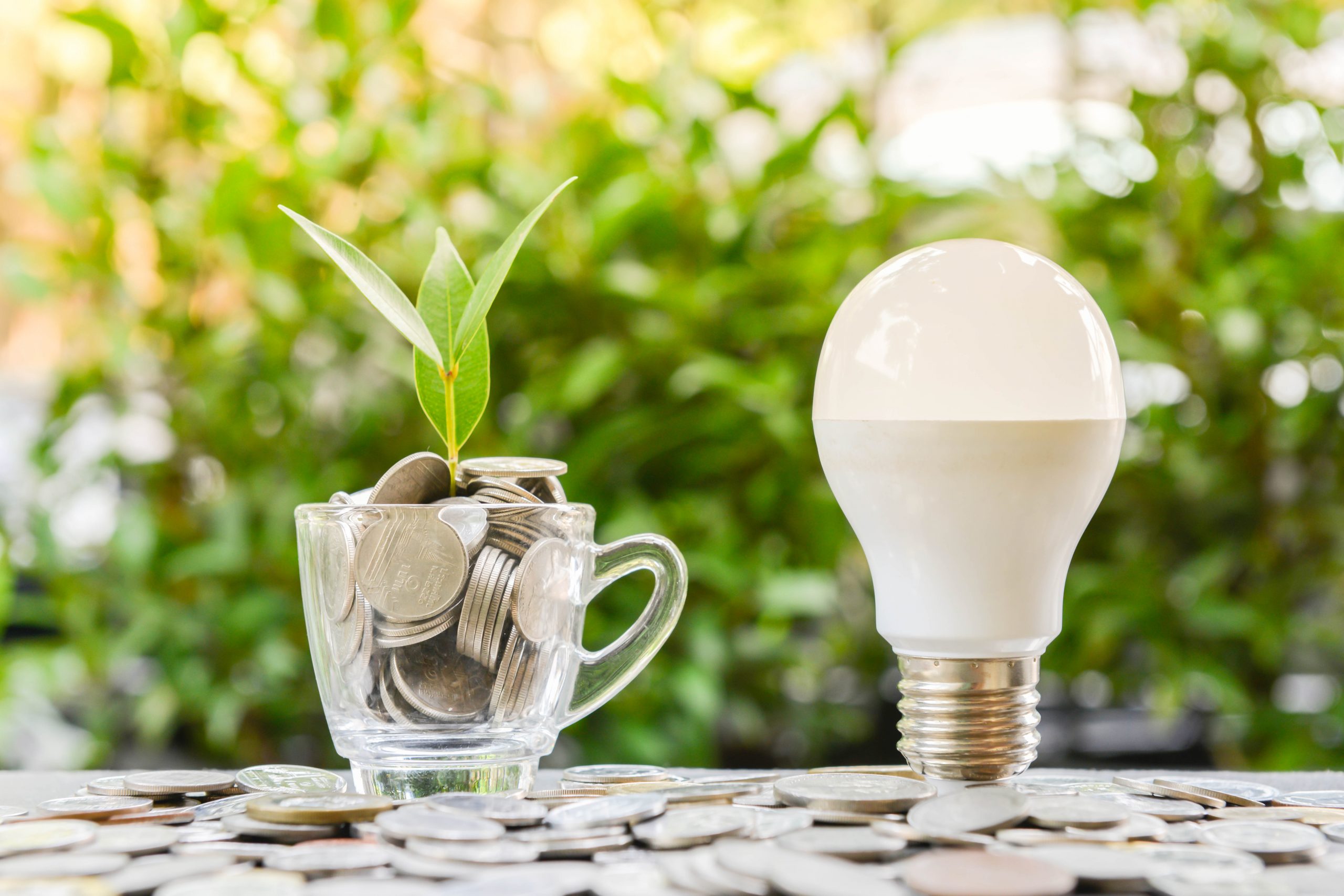 Risparmio Energia