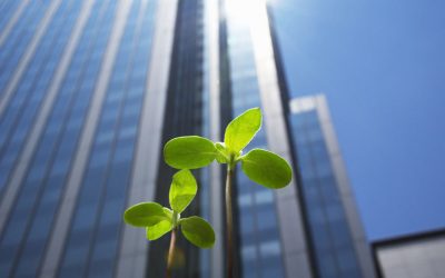 Come risparmiare energia in azienda