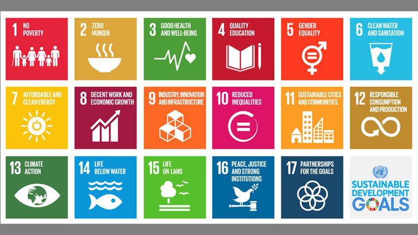 Agenda 2030 cosa contiene e chi l'ha adottata, ambiente