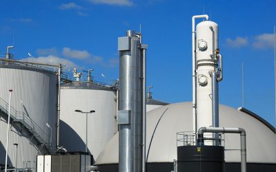 Centrale a biomasse: quanto inquinamento produce?