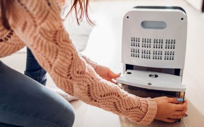 Consuma più il condizionatore o il deumidificatore?