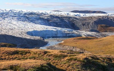 Le conseguenze del riscaldamento globale