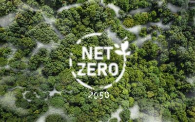 Cosa vuol dire net zero?