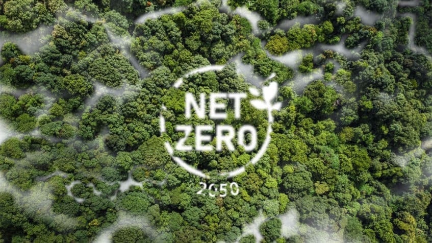 Cosa vuol dire Net Zero, emissioni, ambiente