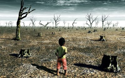 Quali sono le cause del riscaldamento globale?