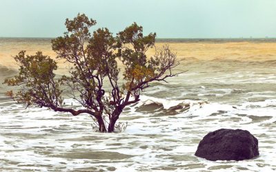 Riscaldamento globale: di quanto sarà l’innalzamento dei mari?