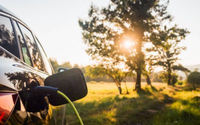 Qual è l’auto più ecologica: come sceglierla?