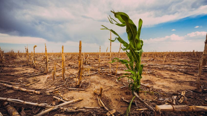 10 canzoni sul cambiamento climatico