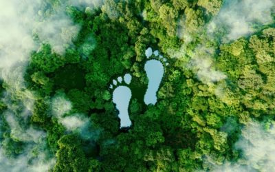 Che cos’è l’impronta ecologica?