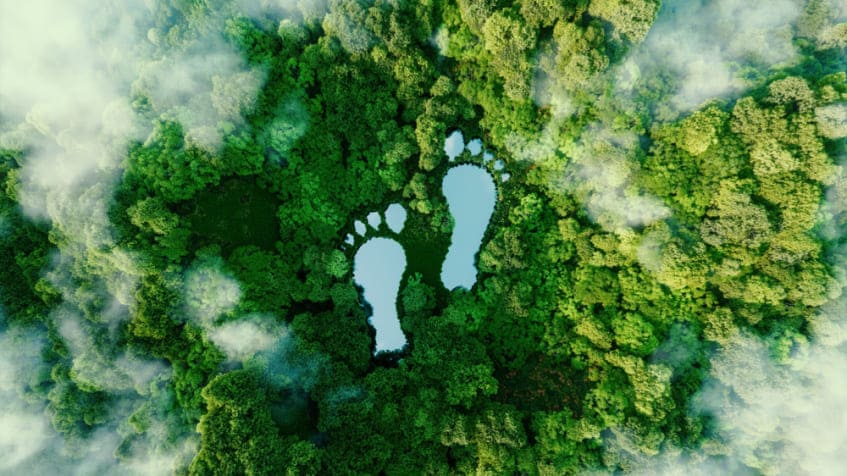 Che cos'è l'impronta ecologica? Sostenibilità