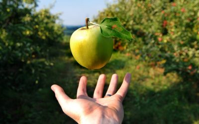 Che cos’è l’energia potenziale gravitazionale