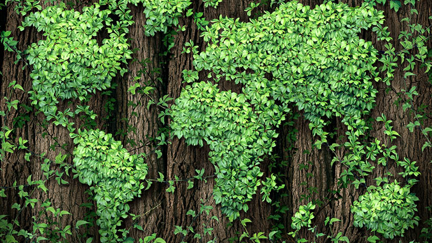 Che cos'è la Green Economy
