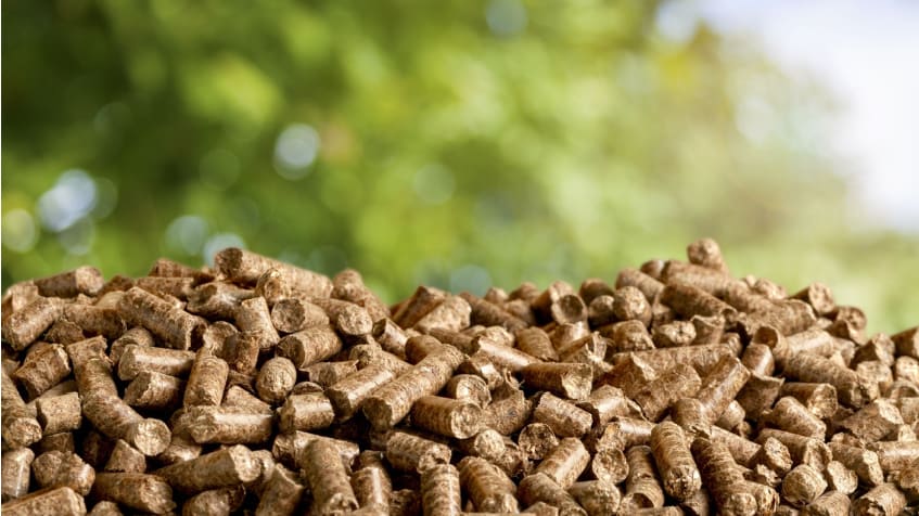 Cos'è l'energia da biomassa, residui legna