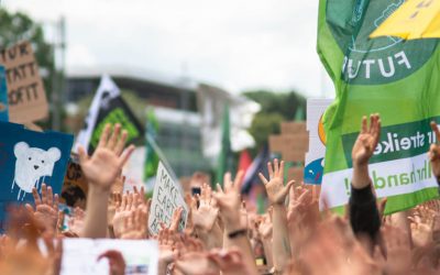 Cos’è il Fridays for Future?