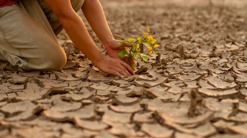 Giornata mondiale dell'Ambiente, crisi climatica