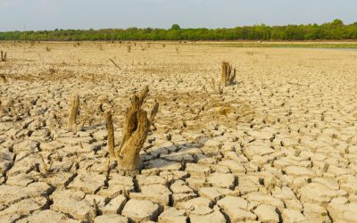 Come leggere il grafico sul riscaldamento globale