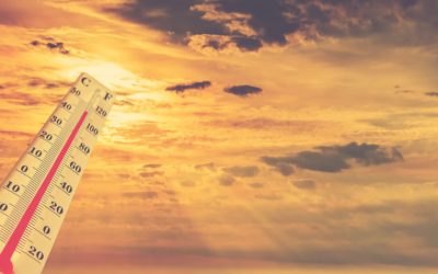 Il riscaldamento globale non esiste: 6 bufale sul cambiamento climatico