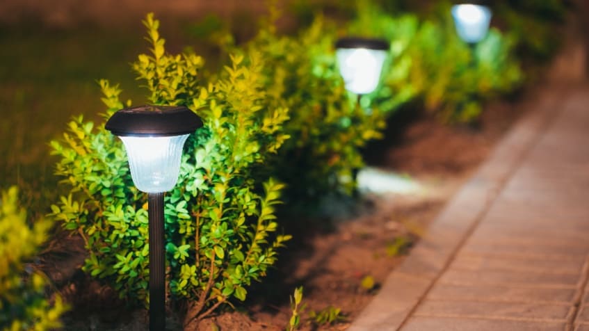 Quale illuminazione per giardino economica scegliere