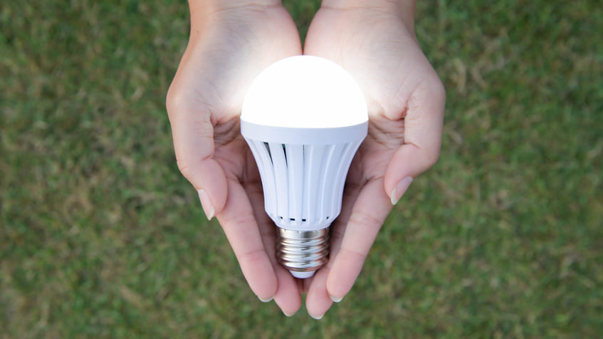 lampadine a basso consumo, quali scegliere