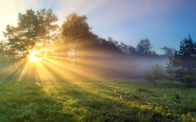 Come usare l’energia solare di sera