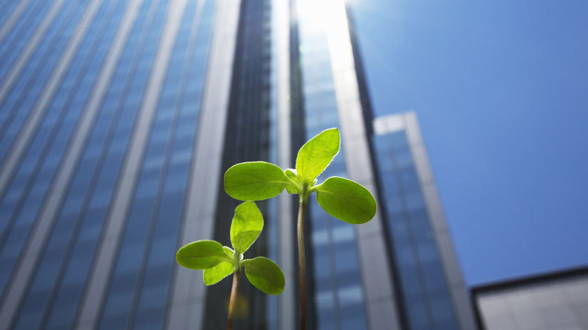 Cosa fare per risparmiare energia in azienda, ufficio